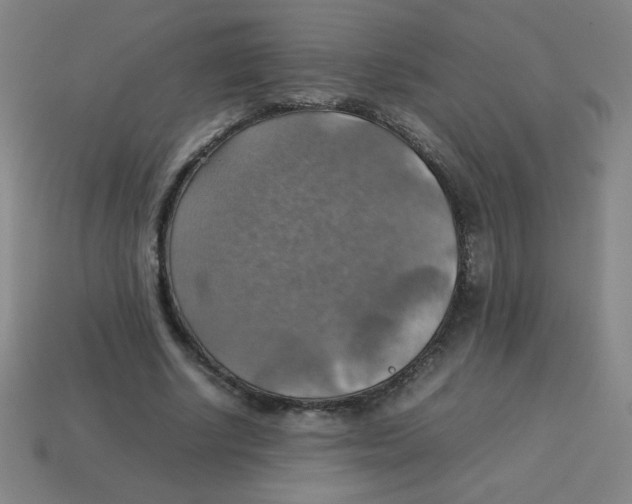 X0000113780634200910211206