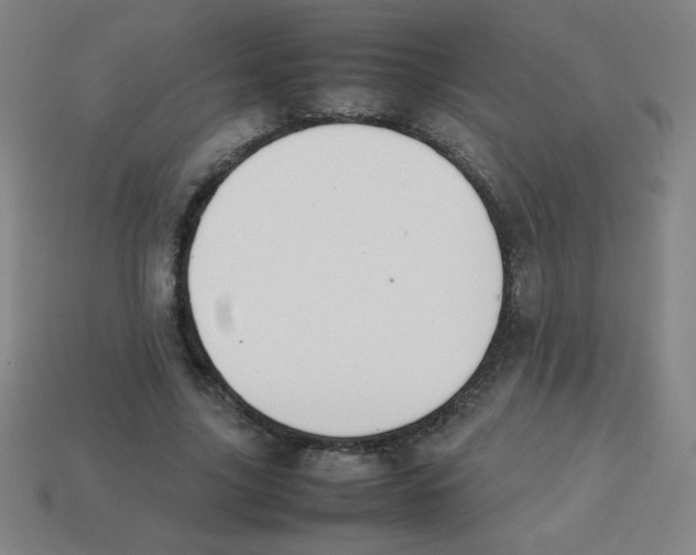 X0000113780635200910211206