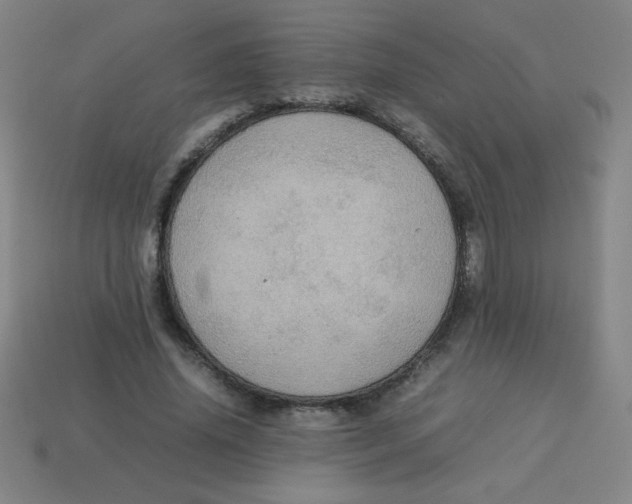 X0000113780636200910211206