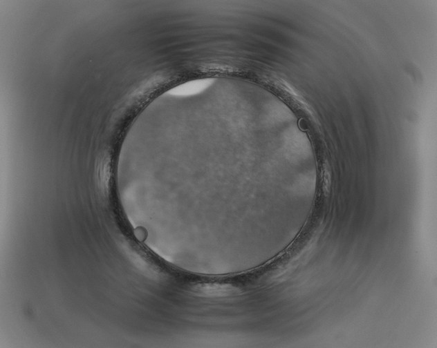 X0000113780637200910211206