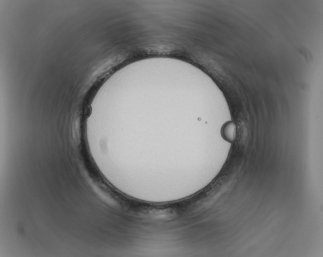 X0000113780638200910211206