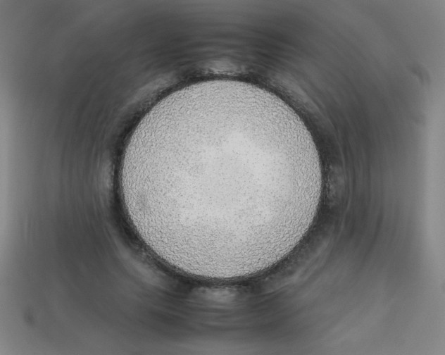 X0000113780639200910211206