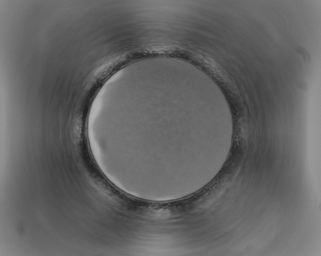 X0000113780640200910211206