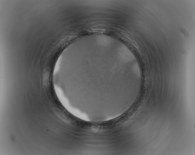 X0000113780641200910211206