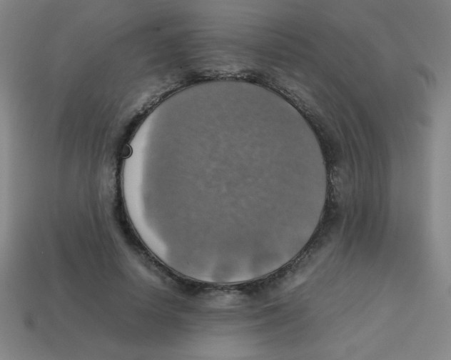 X0000113780642200910211206