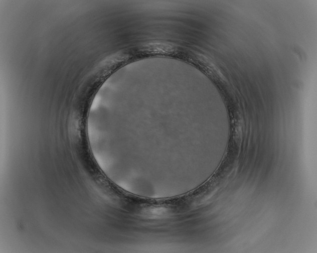 X0000113780643200910211206