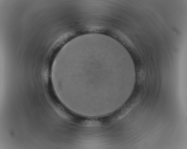 X0000113780644200910211206