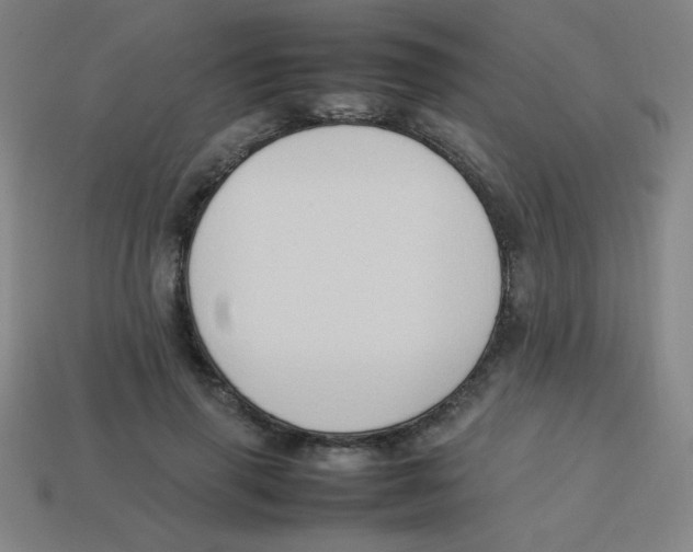 X0000113780645200910211206