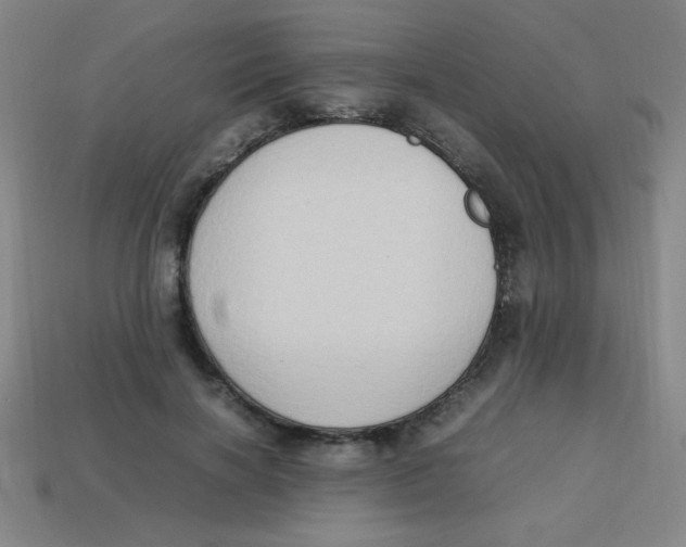 X0000113780646200910211206