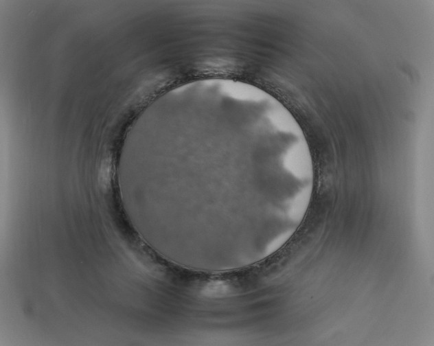 X0000113780647200910211206
