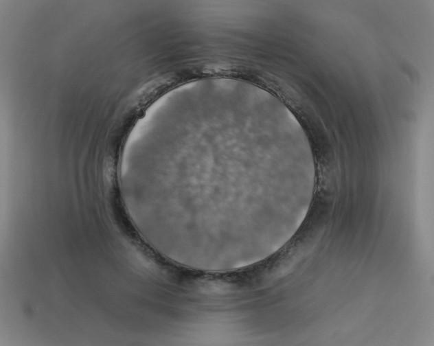 X0000113780648200910211206