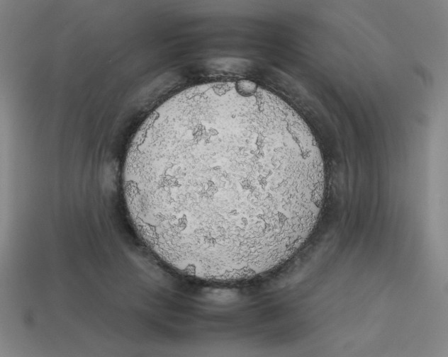 X0000113780649200910211206