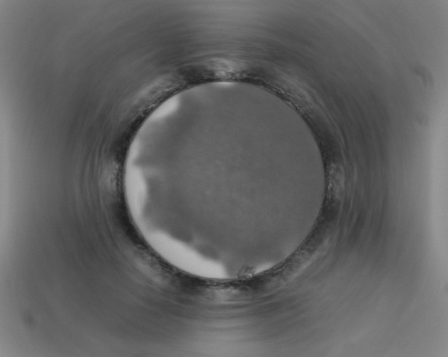 X0000113780650200910211206