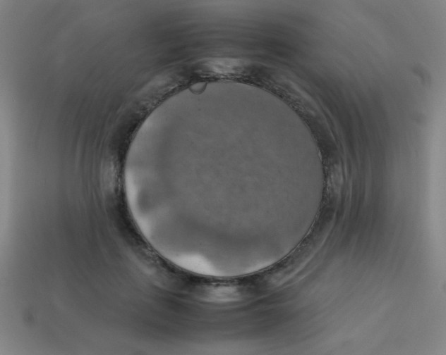 X0000113780651200910211206
