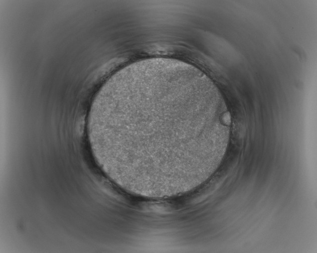 X0000113780652200910211206