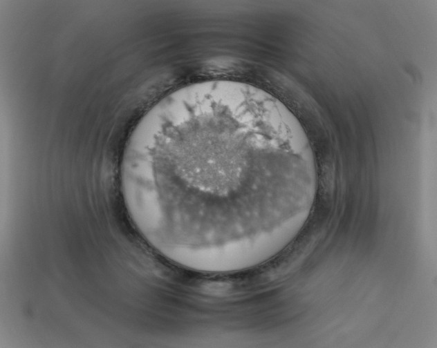 X0000113780653200910211206