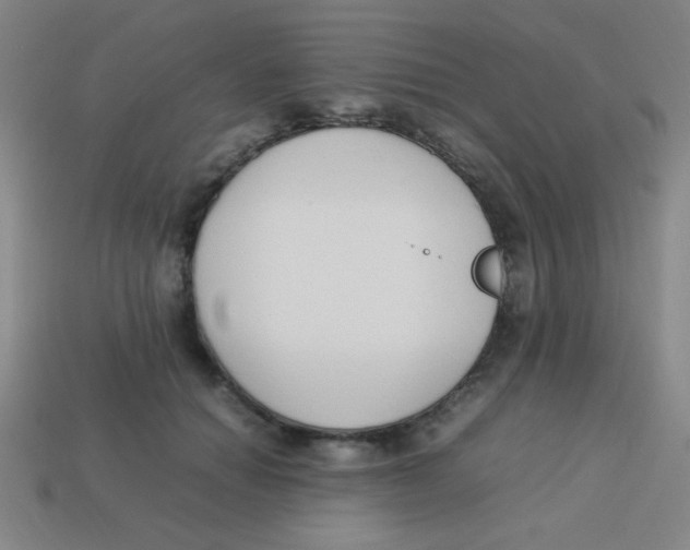 X0000113780654200910211206