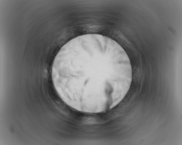 X0000113780655200910211206