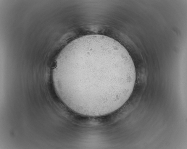 X0000113780656200910211206