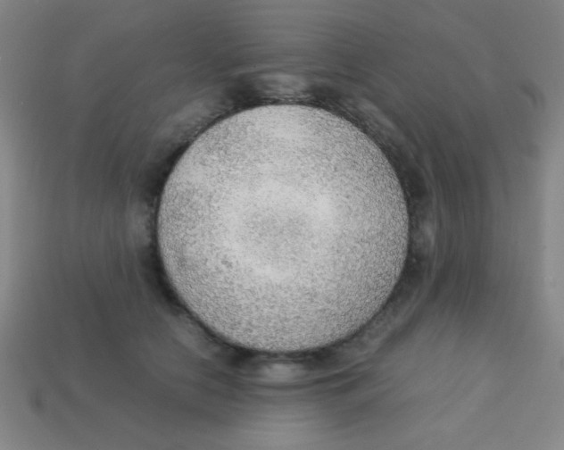 X0000113780658200910211207