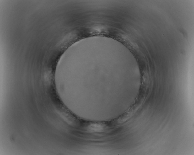 X0000113780659200910211207