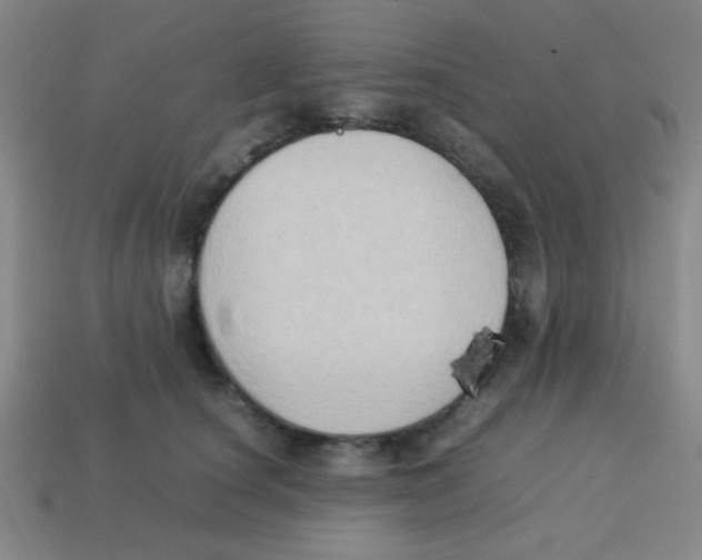 X0000113780660200910211207