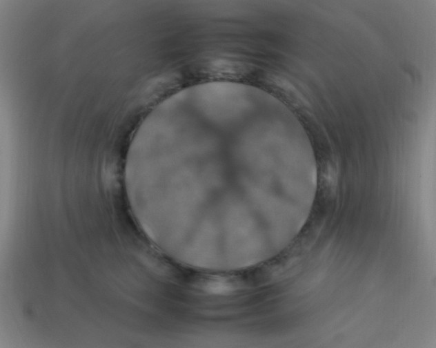 X0000113780663200910211207