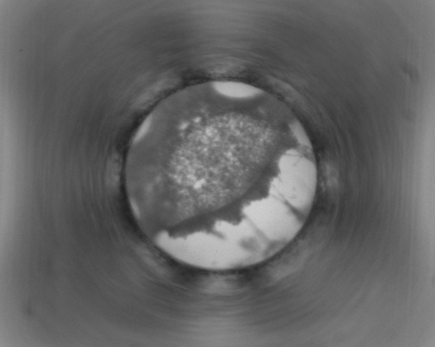 X0000113780664200910211207