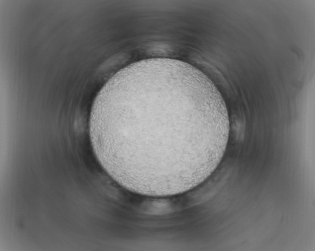 X0000113780665200910211207