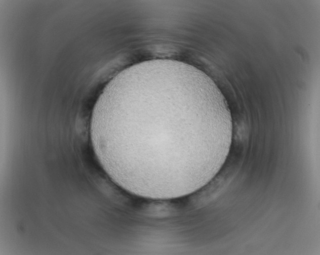 X0000113780666200910211207