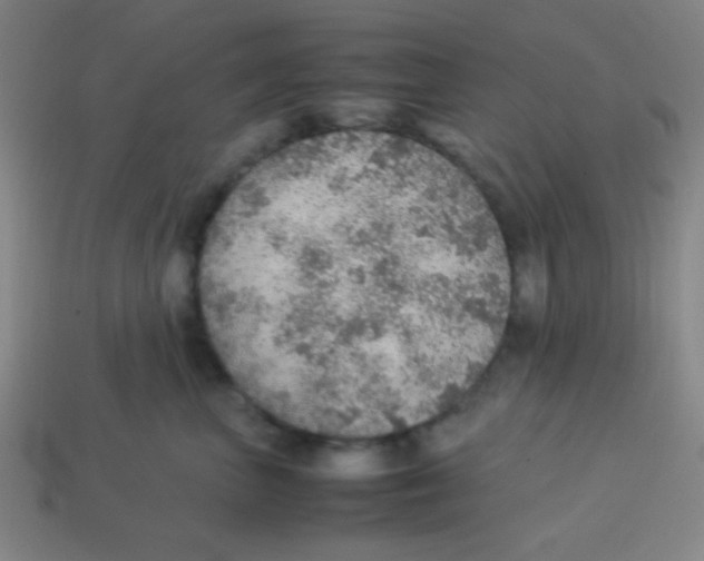 X0000113780667200910211207