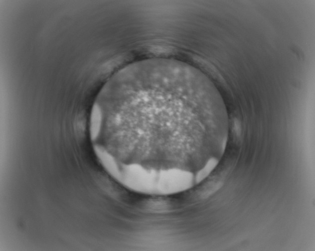 X0000113780668200910211207