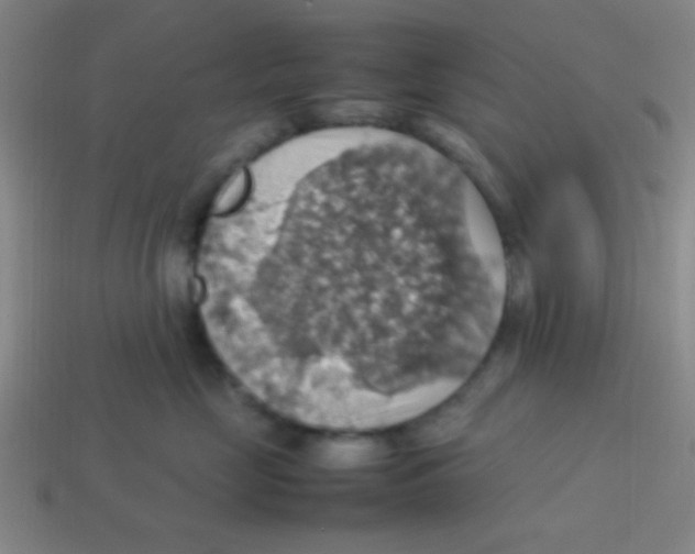 X0000113780669200910211207