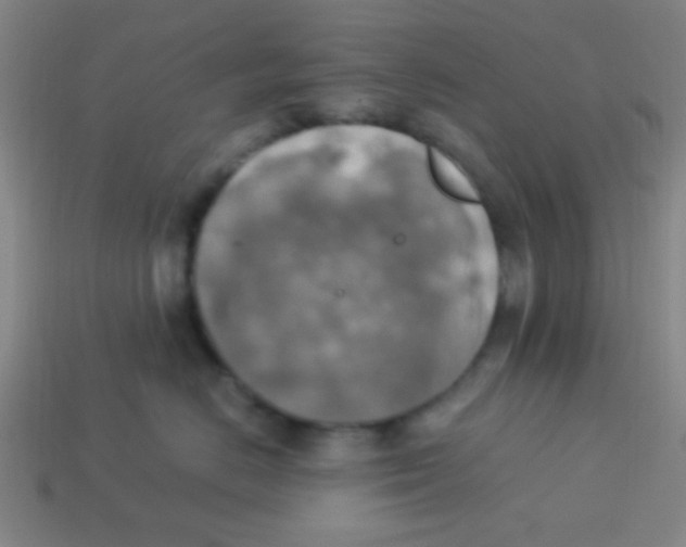 X0000113780670200910211207