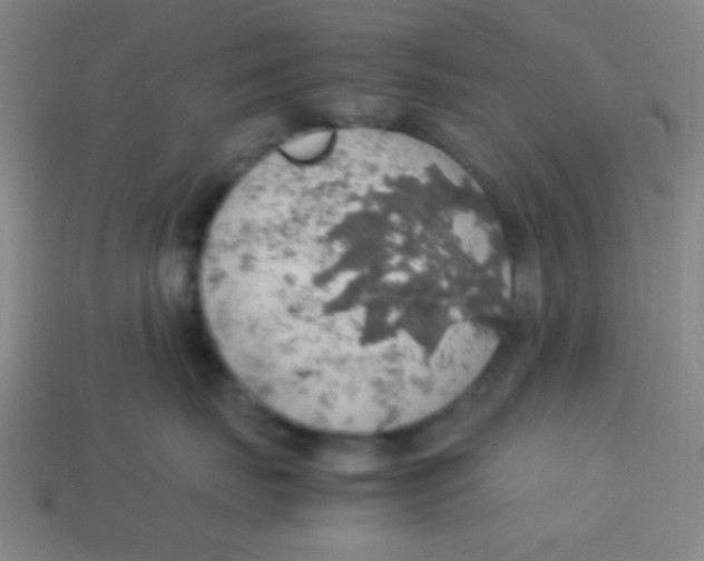 X0000113780671200910211207