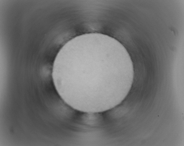 X0000113780672200910211207