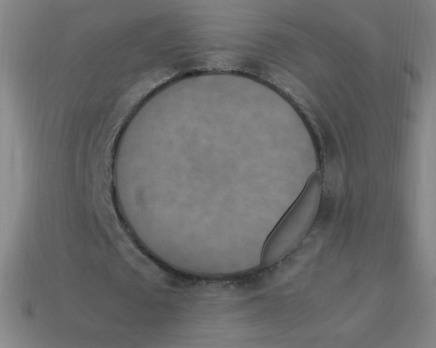 X0000113780673200910211206