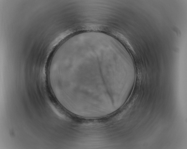 X0000113780674200910211206