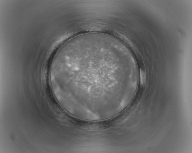 X0000113780675200910211206