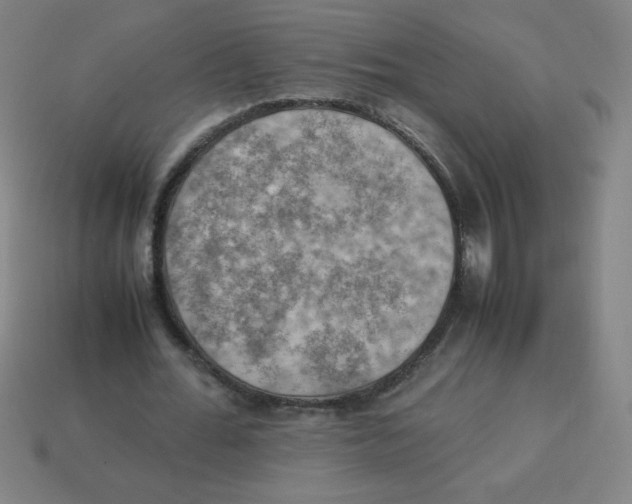 X0000113780676200910211206