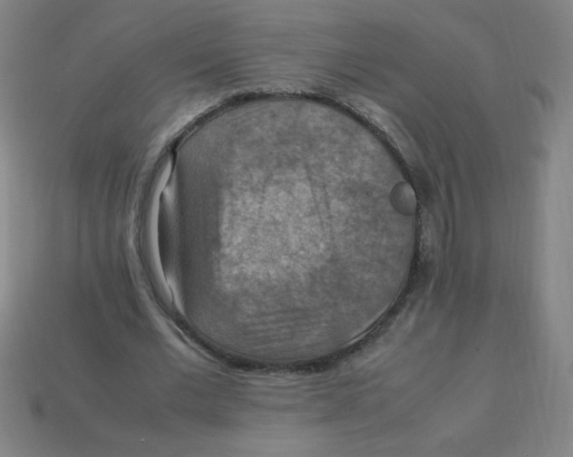 X0000113780677200910211206