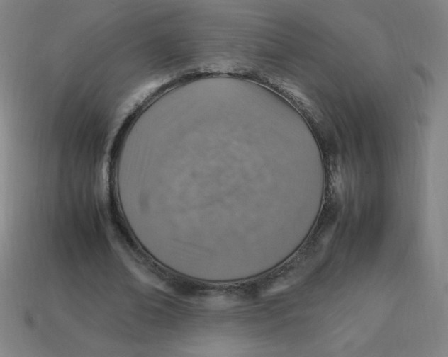 X0000113780678200910211206