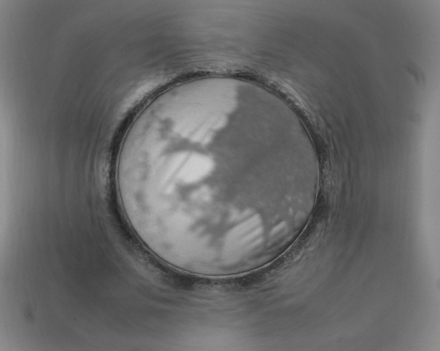 X0000113780679200910211206