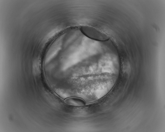 X0000113780680200910211206