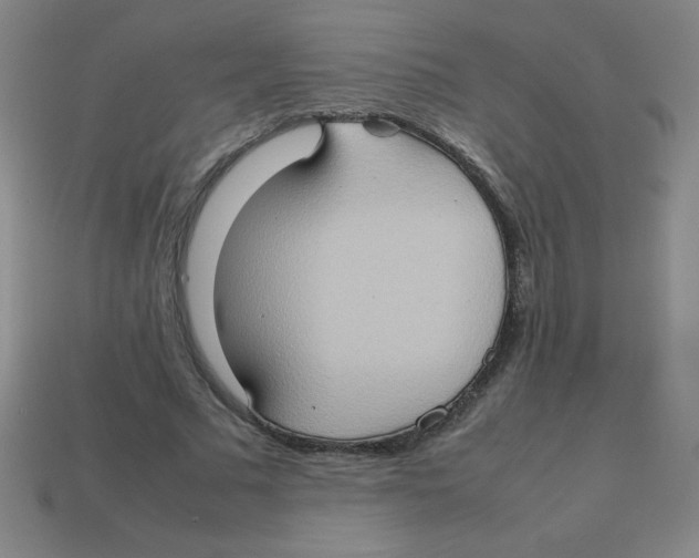 X0000113780681200910211206