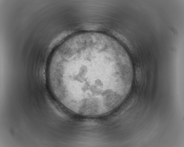 X0000113780682200910211206