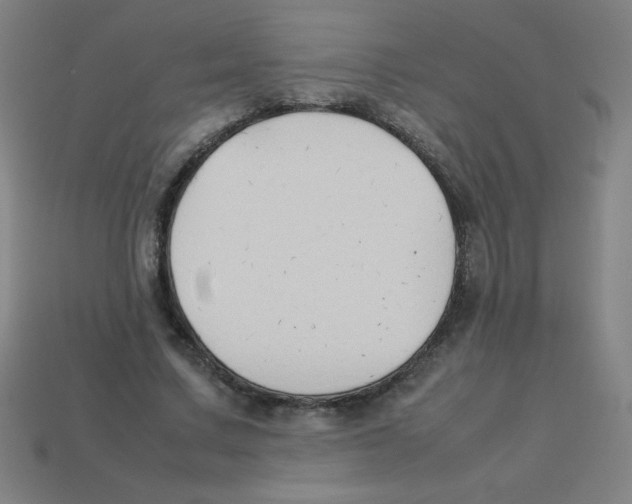 X0000113780683200910211206