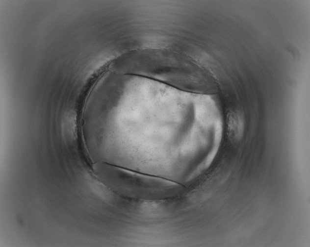 X0000113780684200910211206