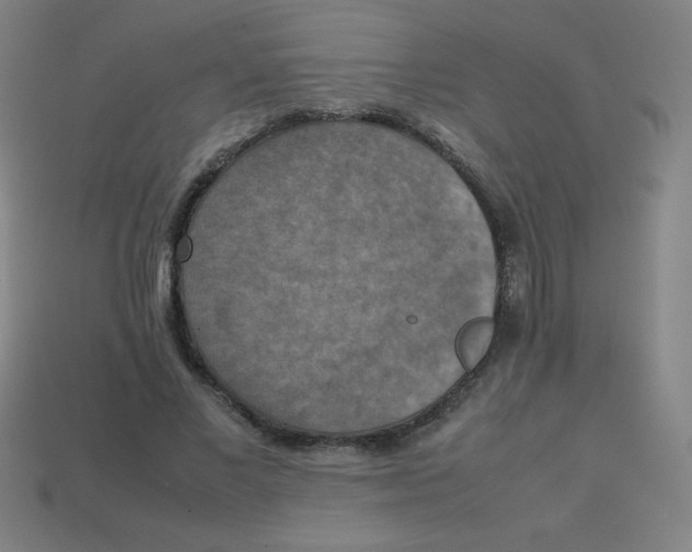 X0000113780685200910211206