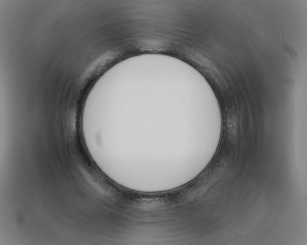 X0000113780686200910211206